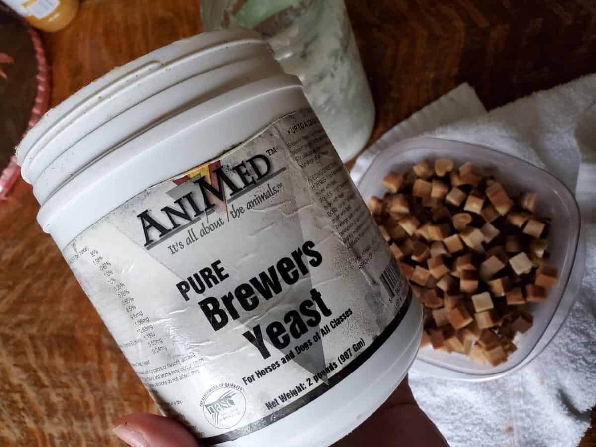 Natural Flea Treatment using Brewer's Yeast | A Farm Girl in the Making - Cat Flea Control Using Brewer'S Yeast And Bitters