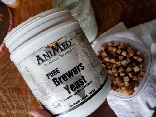 Natural Flea Treatment using Brewer's Yeast | A Farm Girl in the Making