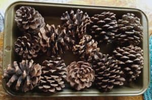 diy naturally scented pinecones