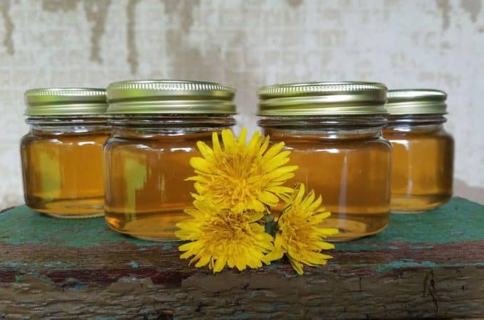 canning dandelion flower jelly