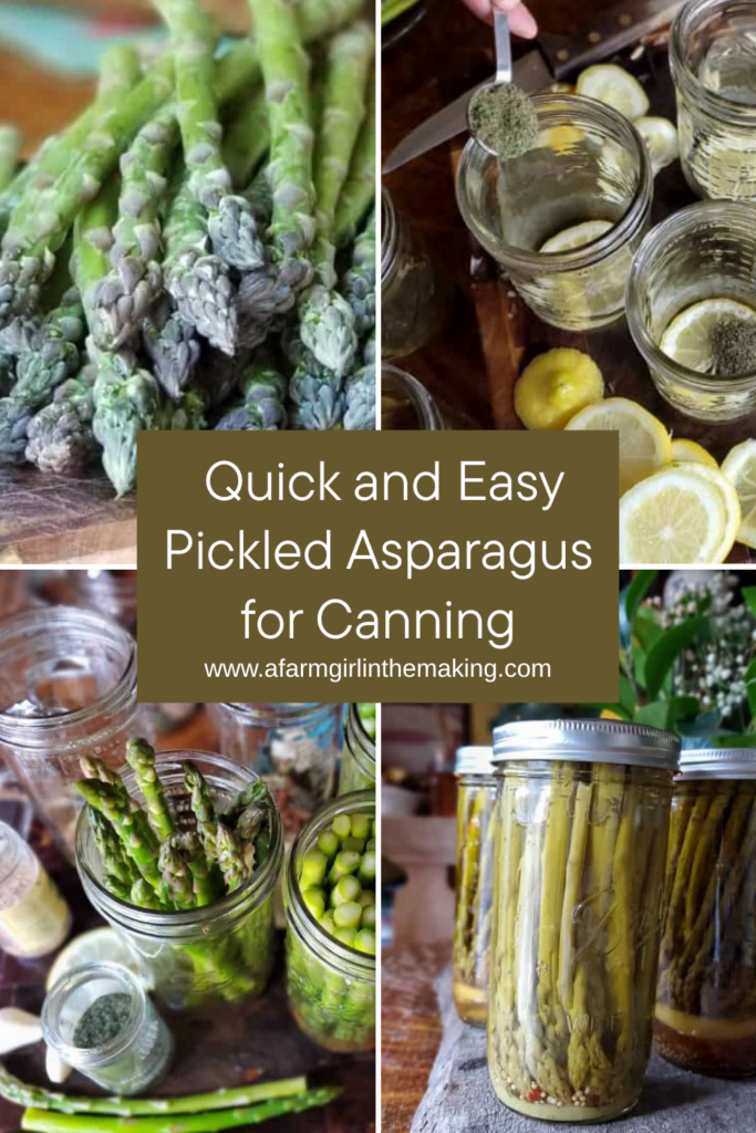 Pinterest pin image for pickled asparagus recipe for canning