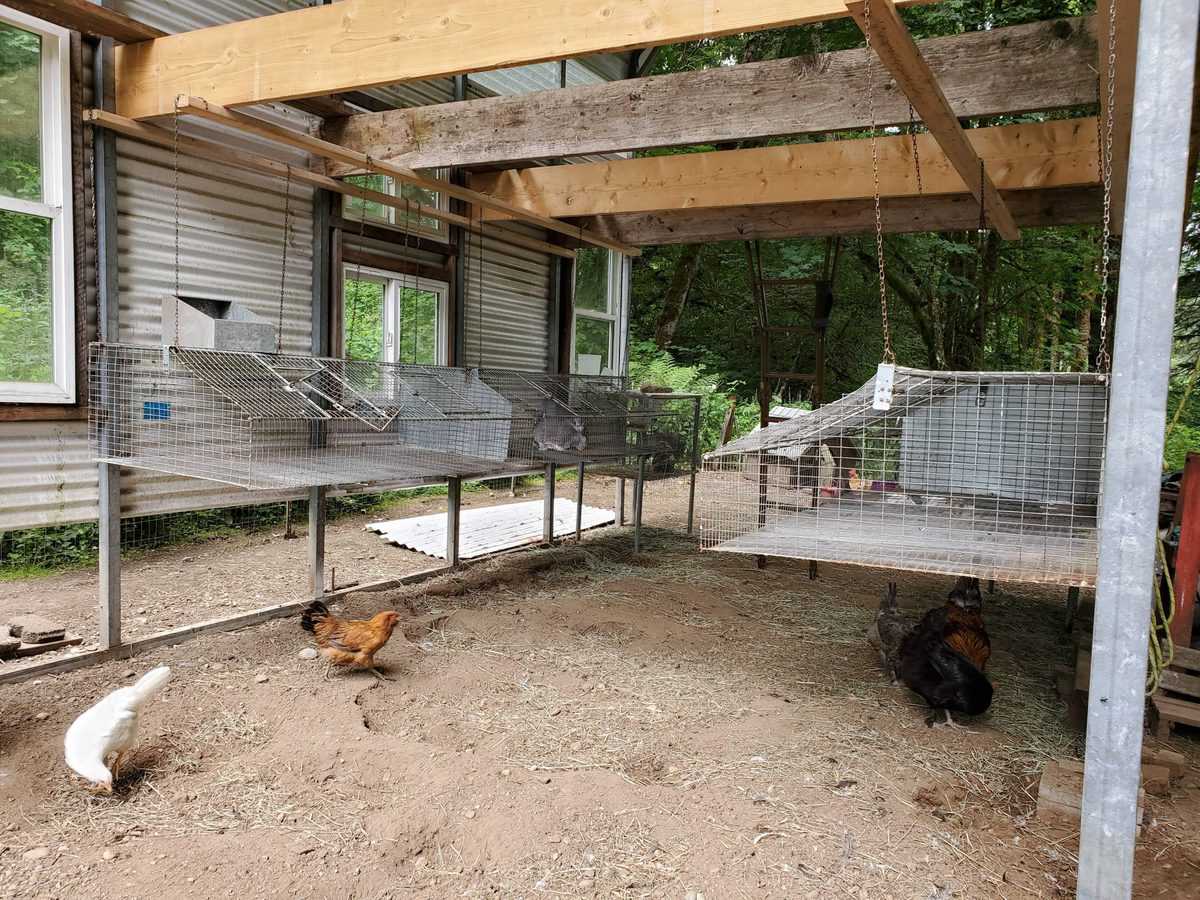 Housing Meat Rabbits Rabbit Housing Options A Farm Girl in the Making