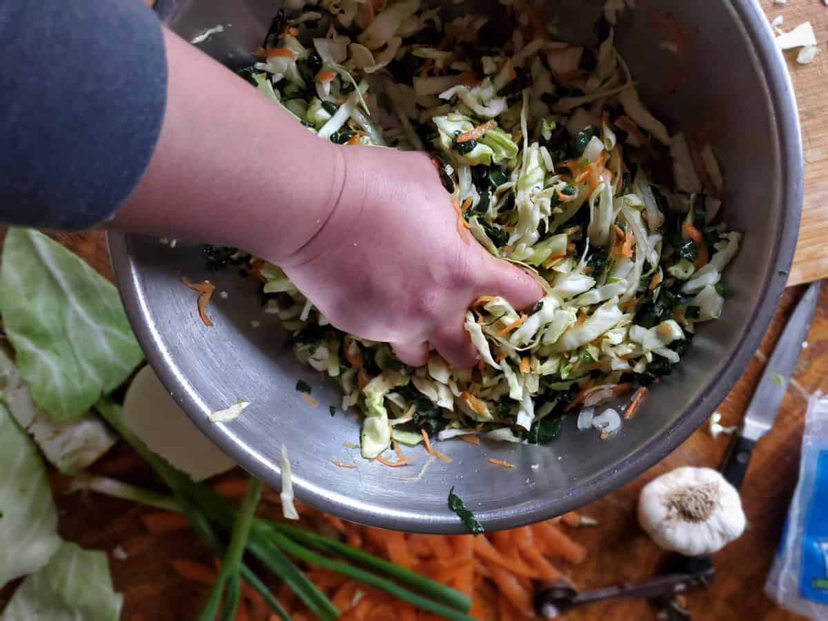 Smoked Kale Kraut Easy Fermenting Steps A Farm Girl in the Making