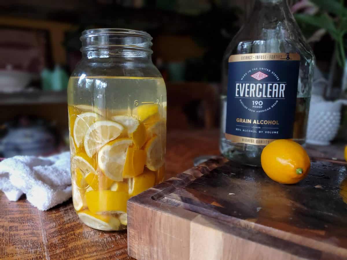 Homemade Limoncello using Meyer Lemons A Farm Girl in the Making