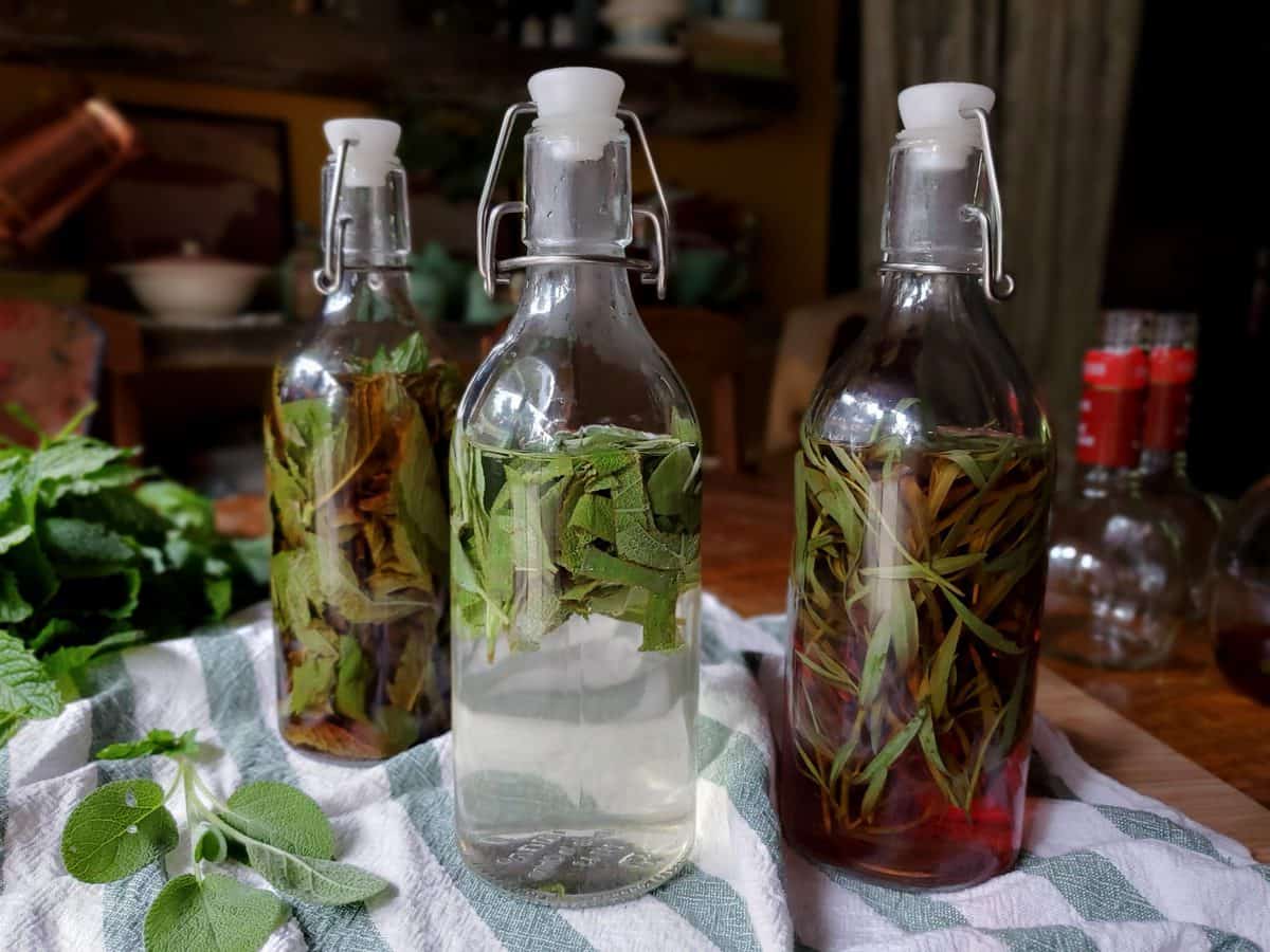 How to Make Herbal Vinegars for Cooking A Farm Girl in the Making