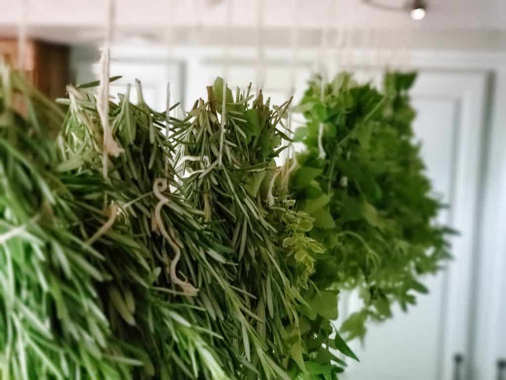 How to Hang Dry Herbs, Flowers and Peppers Naturally - The Everyday  Farmhouse