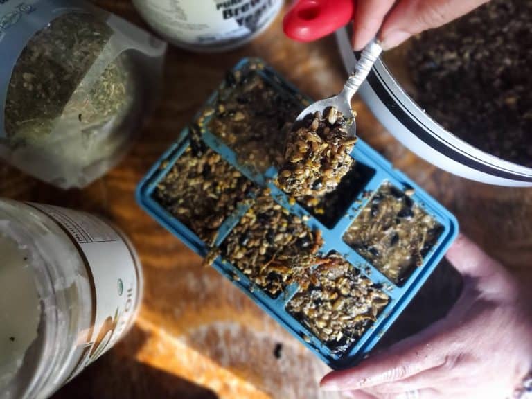 Homemade Suet Cakes for Chickens High Protein Treats for Molting