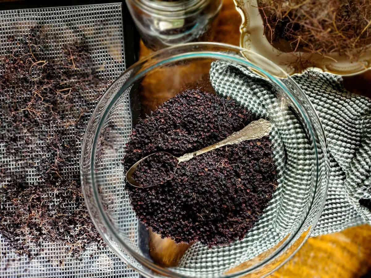 How to Dry Elderberries and Store for LongTerm Storage