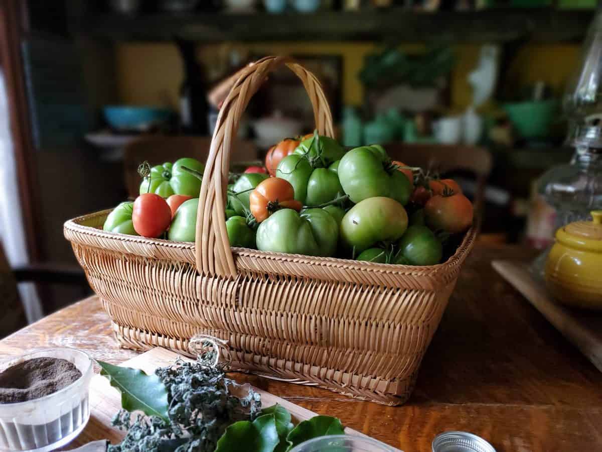 Canning Pomodori Verdi a Green Tomato Pasta Sauce