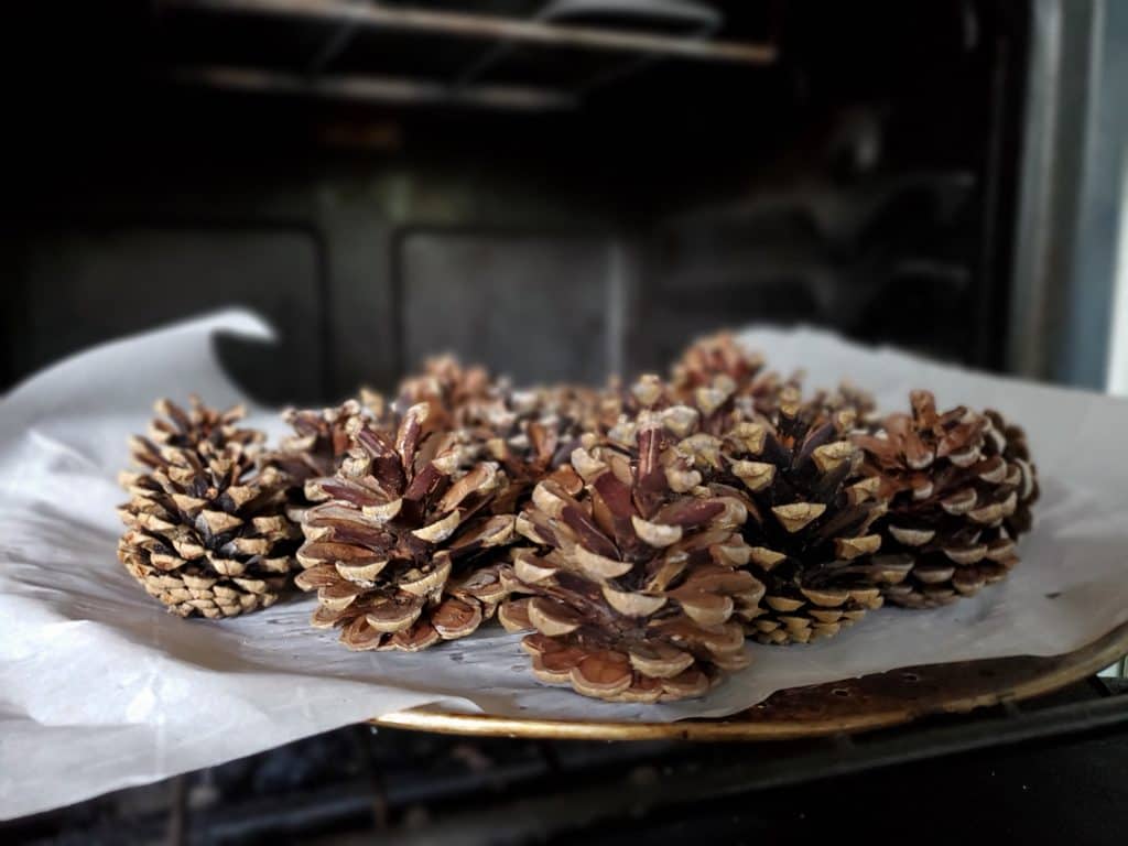 DIY Naturally Scented Pinecones