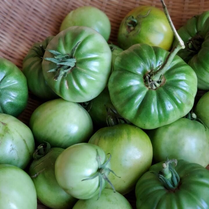 Easy Homemade Tips Can You Freeze Green Tomatoes?